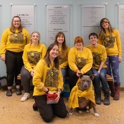 Team Page: HSHV - Staff